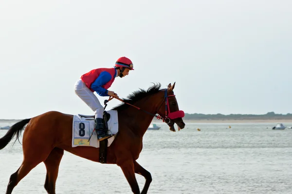 stock image Horse race on Sanlucar of Barrameda, Spain, August 2011