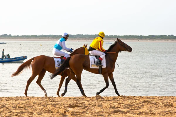 Corsa di cavalli a Sanlucar di Barrameda, Spagna, agosto 2011 — Foto Stock