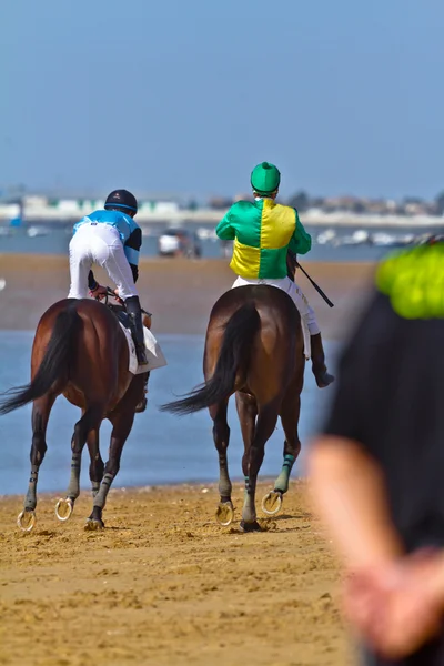 Horse race on Sanlucar of Barrameda, Spain, August 2011 — Stock Photo, Image
