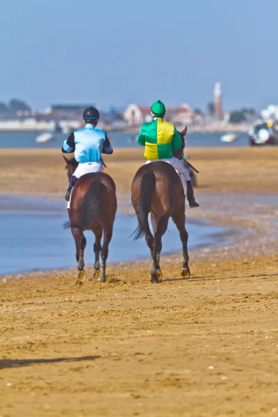 Hästkapplöpning på sanlucar barrameda, spain, augusti 2011 — Stockfoto