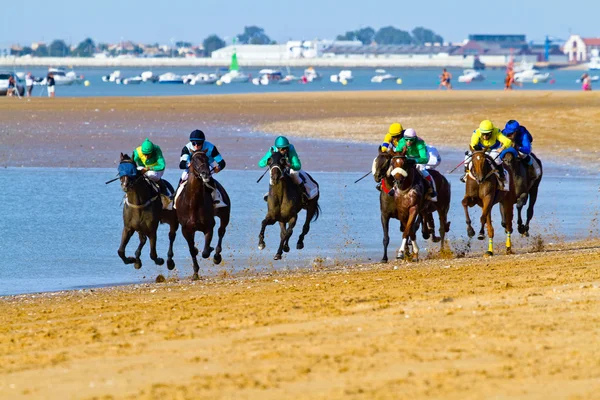 Course de chevaux sur Sanlucar de Barrameda, Espagne, août 2011 — Photo