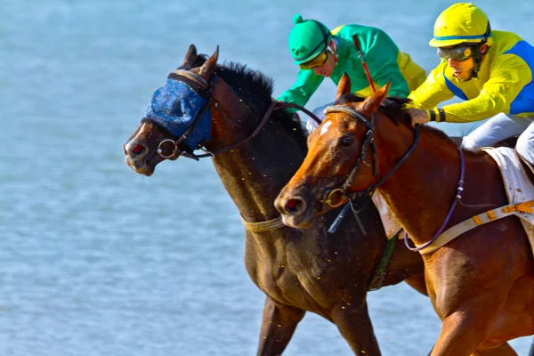 stock image Horse race on Sanlucar of Barrameda, Spain, August 2011