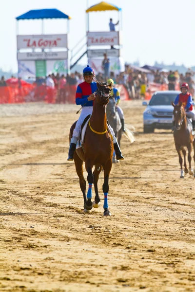 Carrera de caballos en Sanlúcar de Barrameda, España, agosto 2011 — Foto de Stock