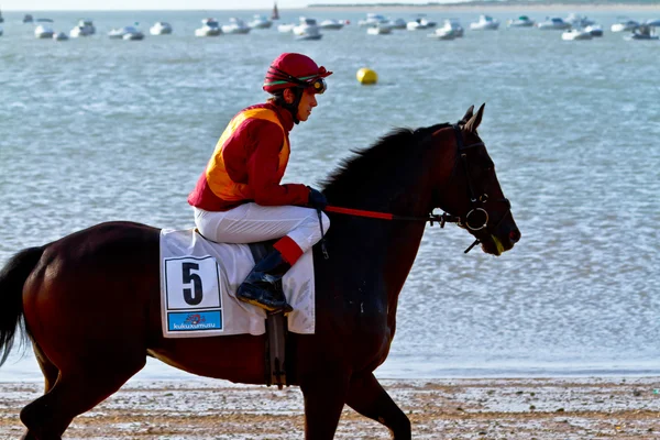 stock image Horse race on Sanlucar of Barrameda, Spain, August 2011