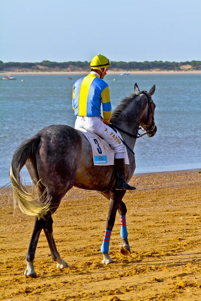Horse race on Sanlucar of Barrameda, Spain, August 2011 — Stock Photo, Image