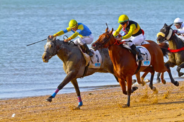 Pferderennen auf Sanlucar von Barrameda, Spanien, August 2011 — Stockfoto