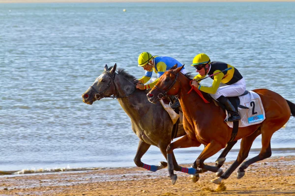 Horse race op sanlucar de barrameda, Spanje, augustus 2011 — Stockfoto