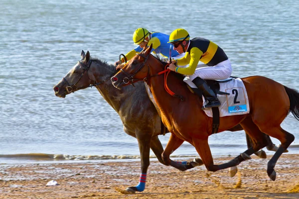 Horse race op sanlucar de barrameda, Spanje, augustus 2011 — Stockfoto