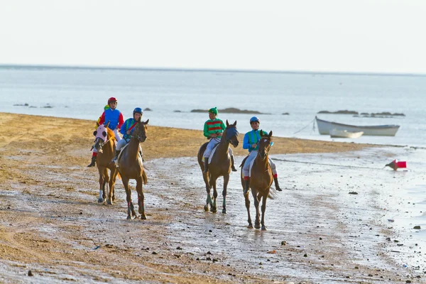 stock image Horse race on Sanlucar of Barrameda, Spain, August 2011