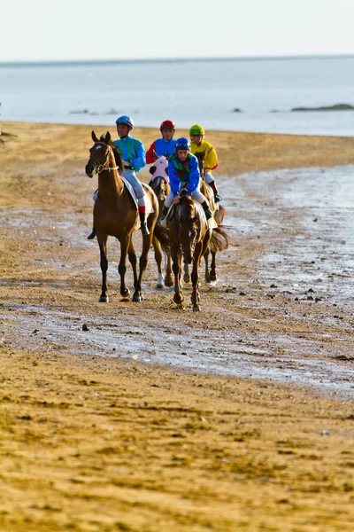 at yarışı sanlucar barrameda, İspanya, Ağustos 2011 tarihinde