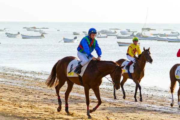 Course de chevaux sur Sanlucar de Barrameda, Espagne, août 2011 — Photo