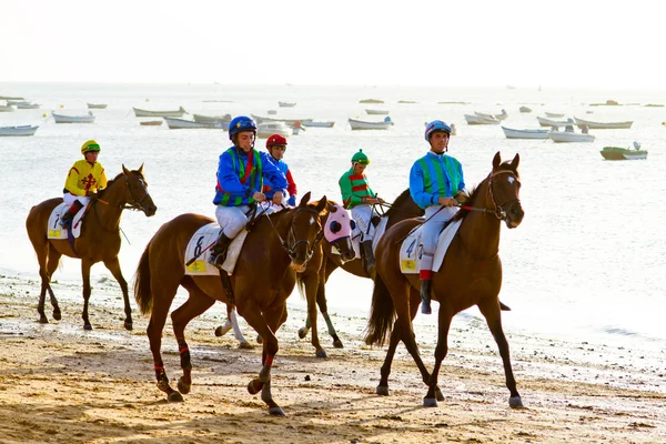 Carrera de caballos en Sanlúcar de Barrameda, España, agosto 2011 —  Fotos de Stock