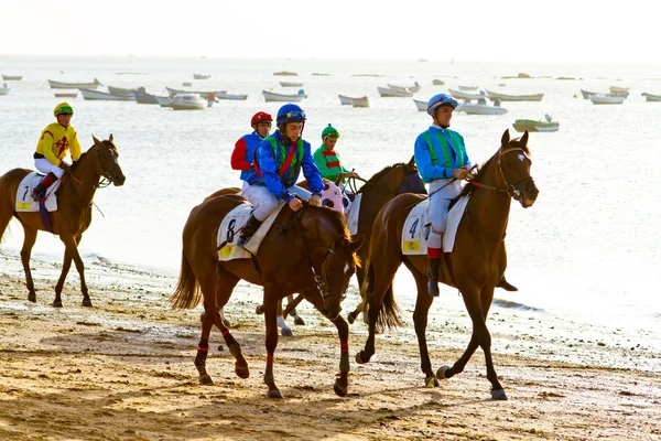 Course de chevaux sur Sanlucar de Barrameda, Espagne, août 2011 — Photo