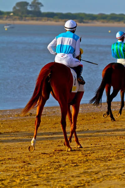 Hästkapplöpning på sanlucar barrameda, spain, augusti 2011 — Stockfoto