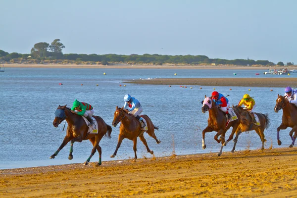 Corrida de cavalos em Sanlucar de Barrameda, Espanha, Agosto de 2011 — Fotografia de Stock