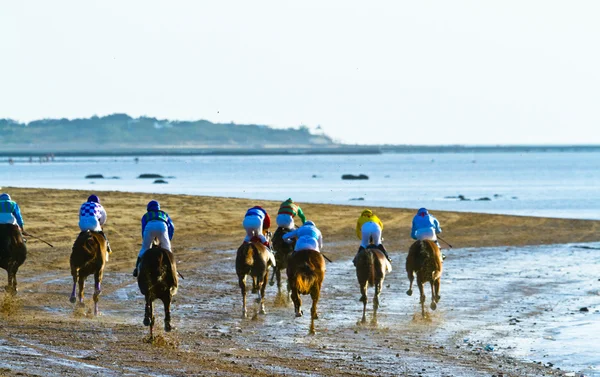 at yarışı sanlucar barrameda, İspanya, Ağustos 2011 tarihinde