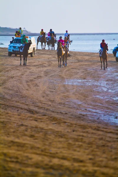 Carrera de caballos en Sanlúcar de Barrameda, España, agosto 2011 —  Fotos de Stock