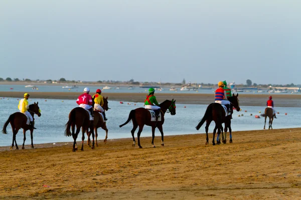 Carrera de caballos en Sanlúcar de Barrameda, España, agosto 2011 — Foto de Stock