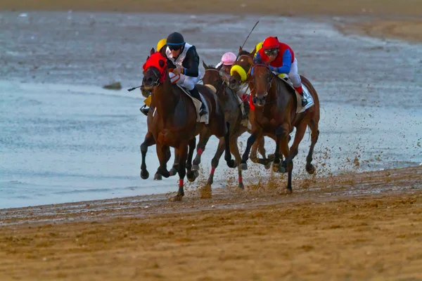 Corrida de cavalos em Sanlucar de Barrameda, Espanha, Agosto de 2011 — Fotografia de Stock