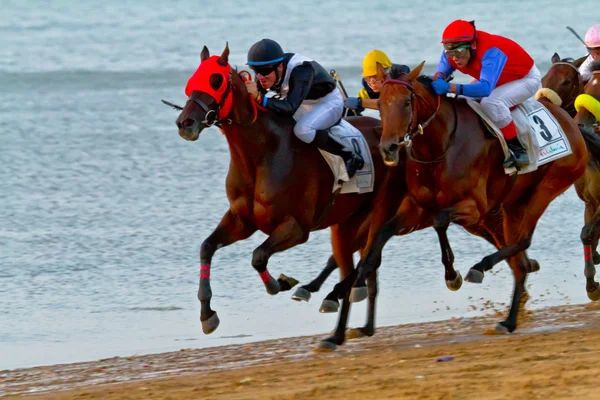 Corsa di cavalli a Sanlucar di Barrameda, Spagna, agosto 2011 — Foto Stock