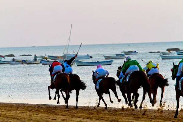 Wyścigów konnych w sanlucar barrameda, Hiszpania, Sierpień 2011 — Zdjęcie stockowe