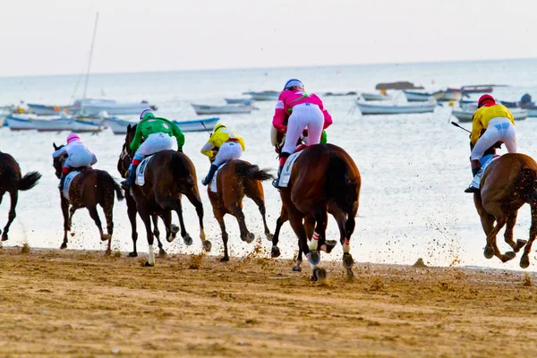 Corsa di cavalli a Sanlucar di Barrameda, Spagna, agosto 2011 — Foto Stock