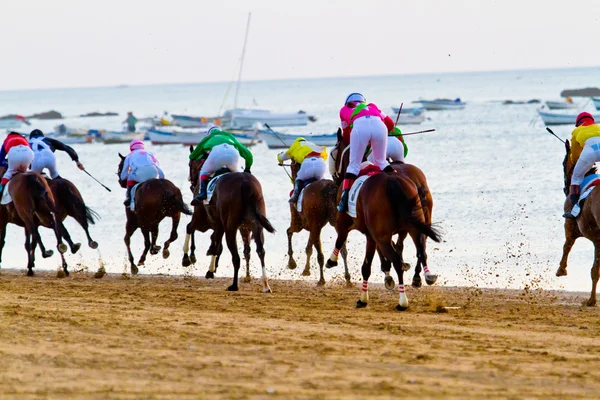 Corsa di cavalli a Sanlucar di Barrameda, Spagna, agosto 2011 — Foto Stock