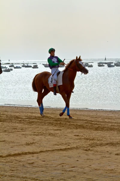 Course de chevaux sur Sanlucar de Barrameda, Espagne, août 2011 — Photo