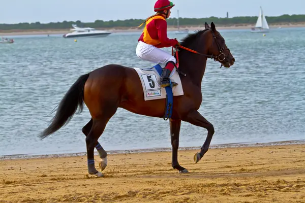 stock image Horse race on Sanlucar of Barrameda, Spain, August 2011