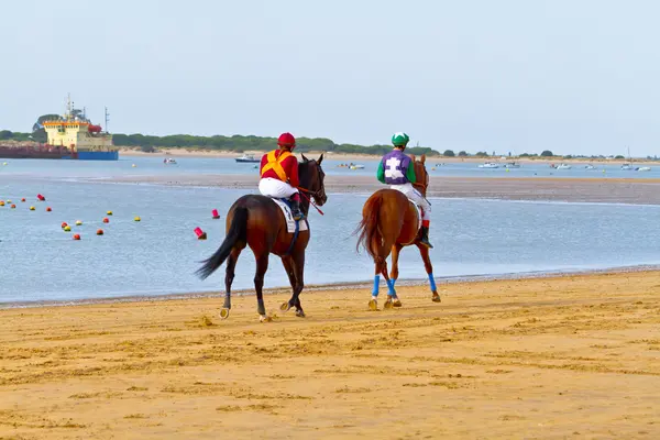 at yarışı sanlucar barrameda, İspanya, Ağustos 2011 tarihinde