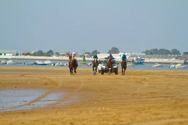 stock image Horse race on Sanlucar of Barrameda, Spain, August 2011