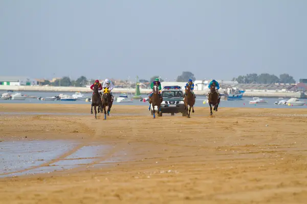 Коні гонки на Sanlucar Barrameda, Іспанія, серпень 2011 — стокове фото