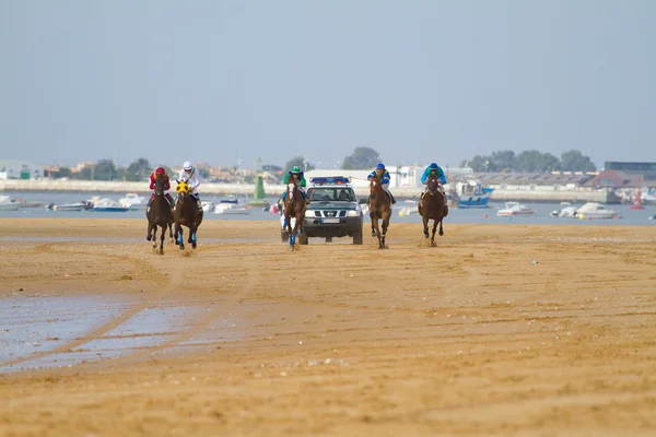 Corrida de cavalos em Sanlucar de Barrameda, Espanha, Agosto de 2011 — Fotografia de Stock