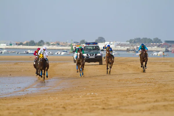 Hestevæddeløb på Sanlucar i Barrameda, Spanien, august 2011 - Stock-foto