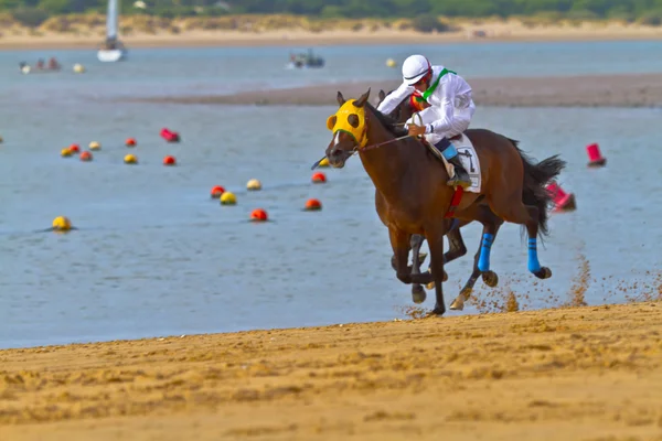 stock image Horse race on Sanlucar of Barrameda, Spain, August 2011