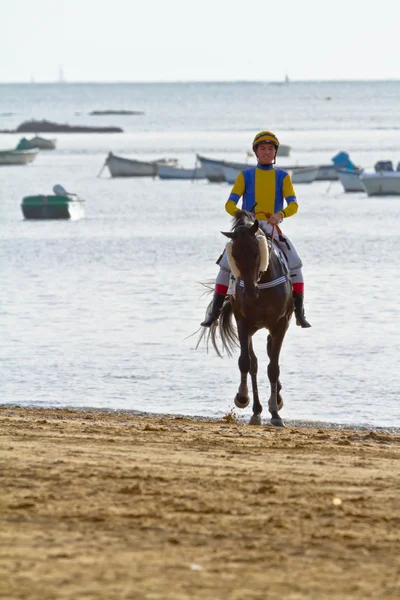 Barrameda, स्पेन के Sanlucar पर घोड़े की दौड़, अगस्त 2011 — स्टॉक फ़ोटो, इमेज