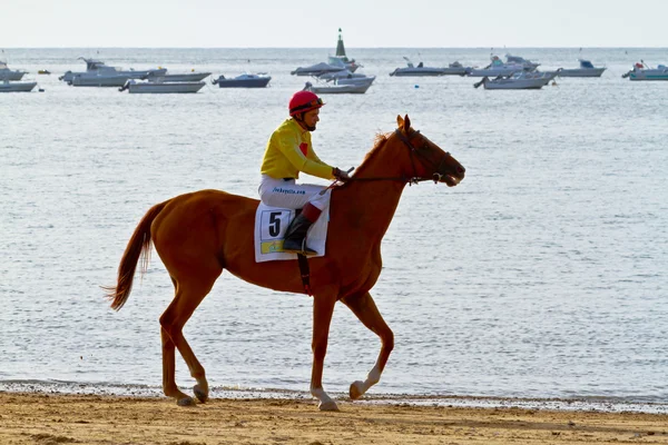 Corsa di cavalli a Sanlucar di Barrameda, Spagna, agosto 2011 — Foto Stock