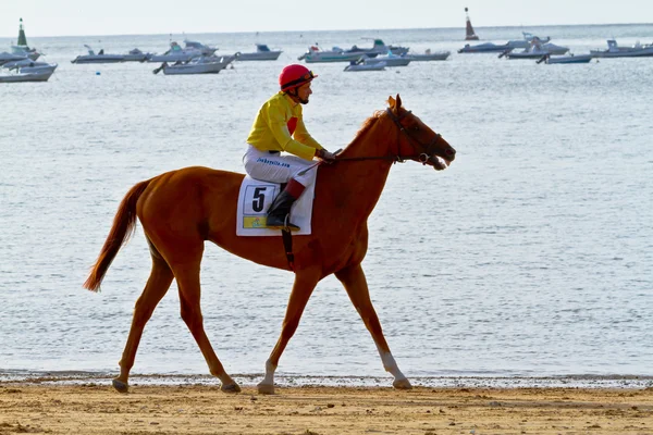 stock image Horse race on Sanlucar of Barrameda, Spain, August 2011