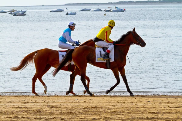 Corsa di cavalli a Sanlucar di Barrameda, Spagna, agosto 2011 — Foto Stock