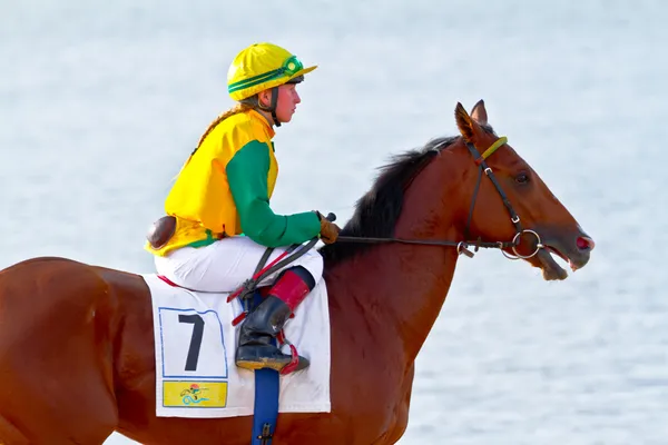 stock image Horse race on Sanlucar of Barrameda, Spain, August 2011