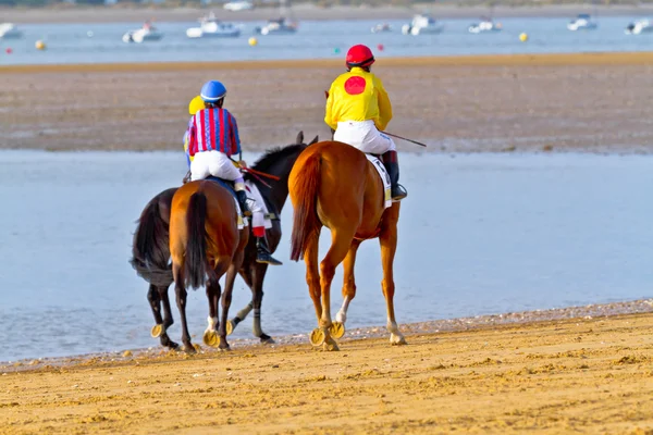 Pferderennen auf Sanlucar von Barrameda, Spanien, August 2011 — Stockfoto