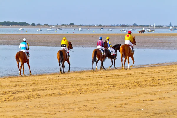 Hästkapplöpning på sanlucar barrameda, spain, augusti 2011 — Stockfoto