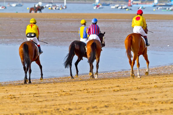 Horse race op sanlucar de barrameda, Spanje, augustus 2011 — Stockfoto