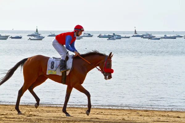 Corrida de cavalos em Sanlucar de Barrameda, Espanha, Agosto de 2011 — Fotografia de Stock