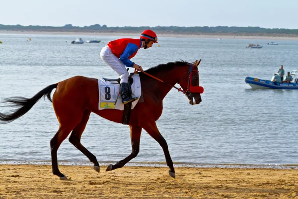 stock image Horse race on Sanlucar of Barrameda, Spain, August 2011