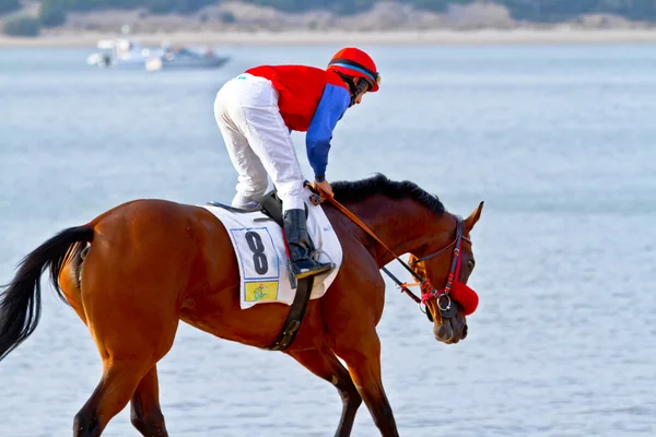 stock image Horse race on Sanlucar of Barrameda, Spain, August 2011