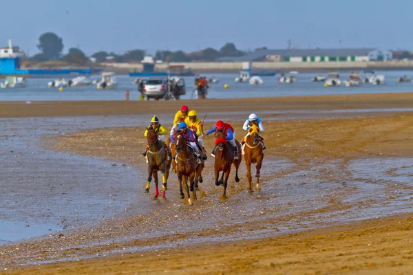 Pferderennen auf Sanlucar von Barrameda, Spanien, August 2011 — Stockfoto