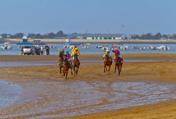 Corsa di cavalli a Sanlucar di Barrameda, Spagna, agosto 2011 — Foto Stock