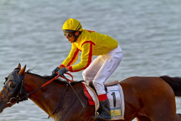 stock image Horse race on Sanlucar of Barrameda, Spain, August 2011