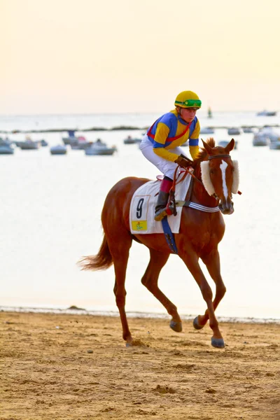 Corsa di cavalli a Sanlucar di Barrameda, Spagna, agosto 2011 — Foto Stock